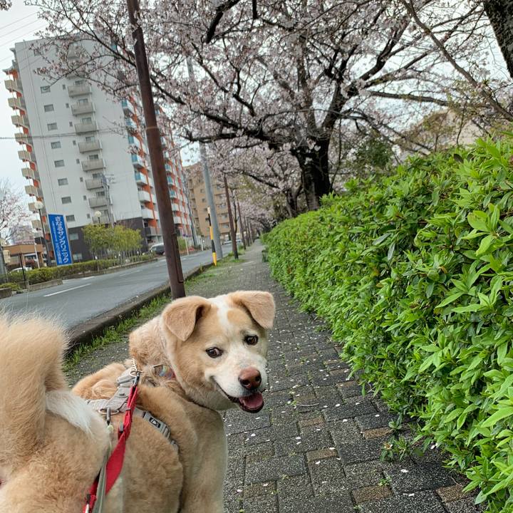 C53c704d 499e 4020 a563 52f7775cf702 1616899889507