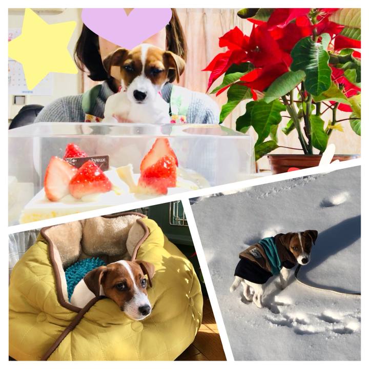 C53c7c2b be16 444a b12d c20ba97f29f7 1514118032489