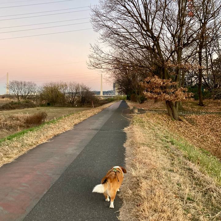 C53c9138 93d6 438a ab20 84aacf184088 1705365514388