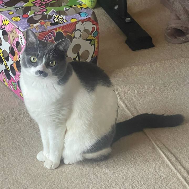 C53cfbba 2fe2 45f7 9e7e 5698a3221bba 1713475303179