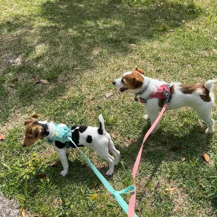 C53d0945 a499 4d4e 8907 bfcf13cf441d 1745741595484