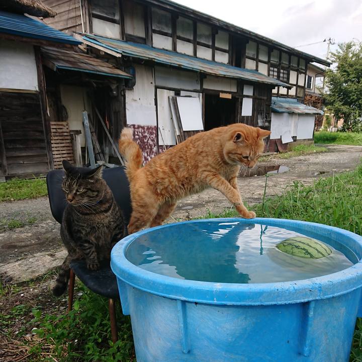 C53d0ae4 25db 4624 8697 31411ce5b880 1661669381115