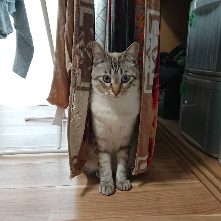 C53d12da cff9 487f b238 64b73d7a4d36 1524439937448