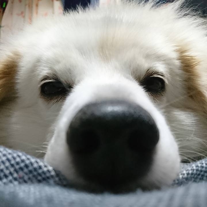 C53d22c3 5d72 44a8 bc6b da93fcdb2c84 1535577516452