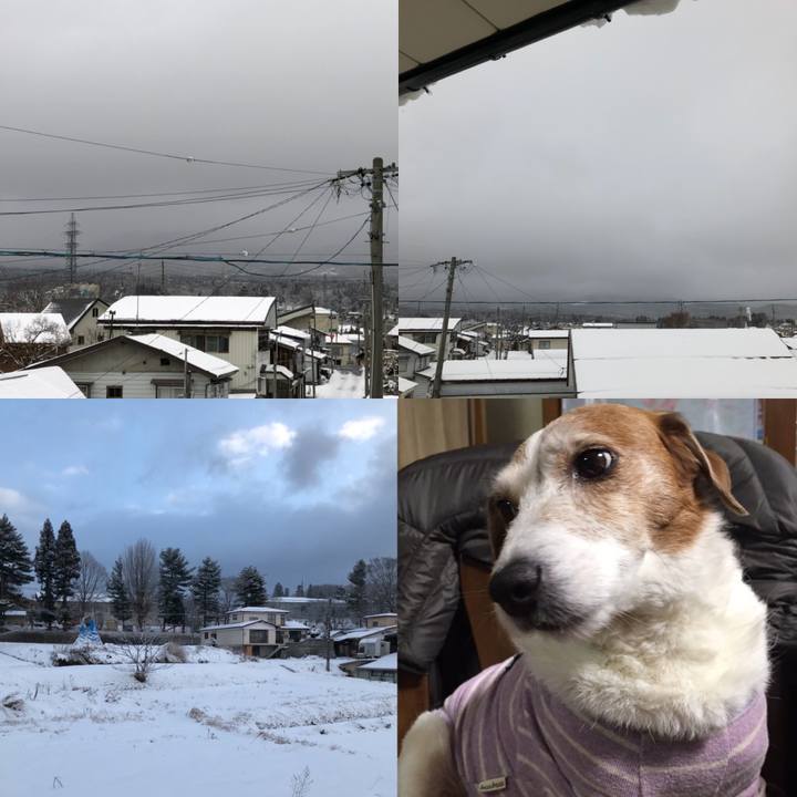 C53d9687 2b36 4546 9b96 d632621abc1d 1513130363062