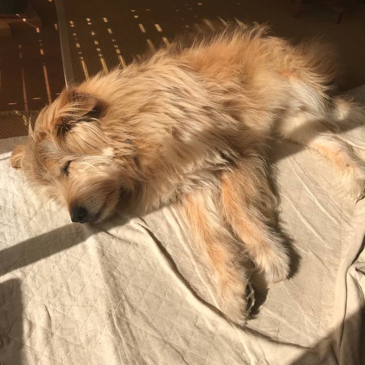 C53db96f 482d 4bd3 86fd df4982936a91 1553040099802