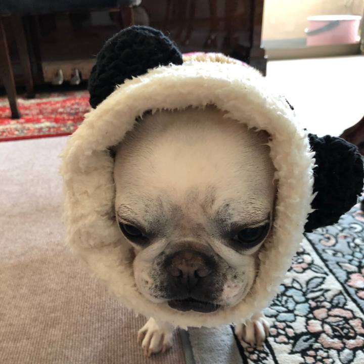 C53e025d 9e76 4d77 aed6 6e76a31bc03b 1549802518063