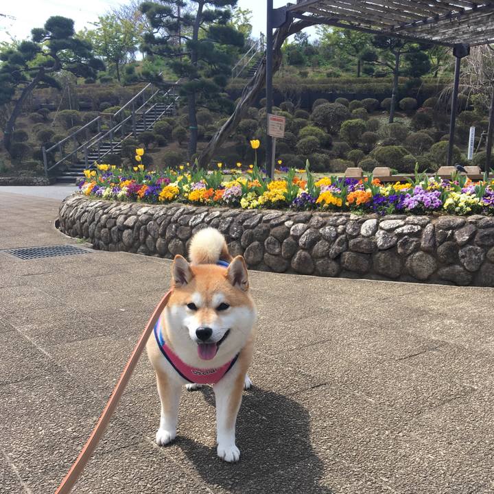 C53e19df aafc 42de a56c bb6c4dbd9712 1553488757735