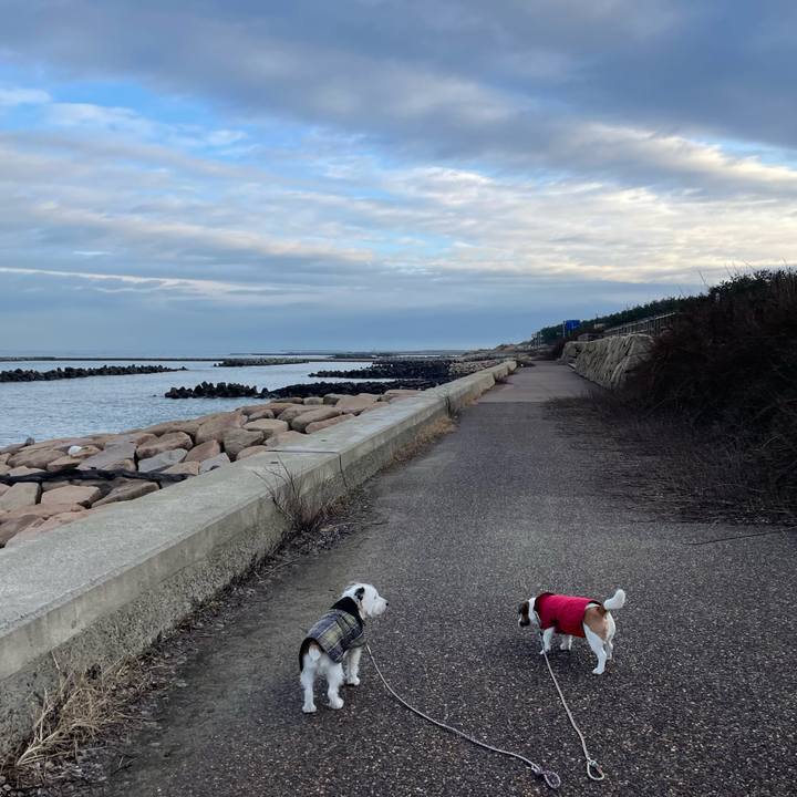 C53e5293 3a14 43a4 8a1a 1c2c08aa5b4b 1674345025249