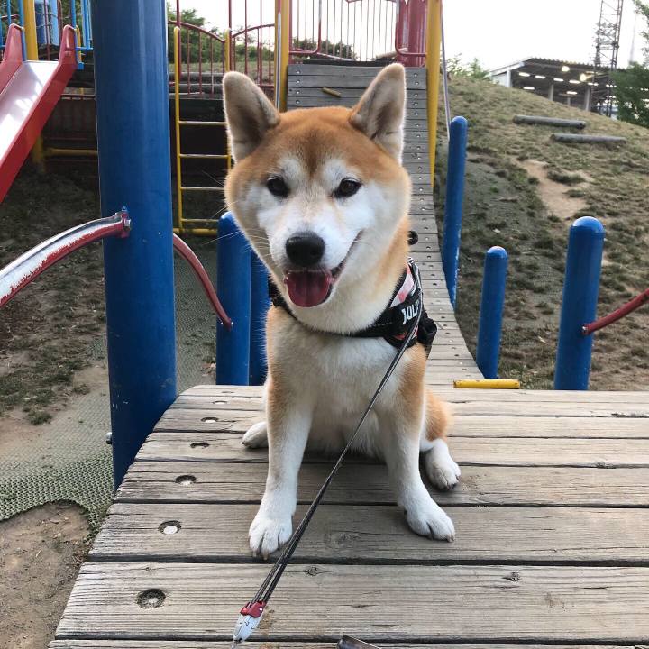 C53e5632 13f2 4b67 9b68 1f170ee84f54 1564744661831