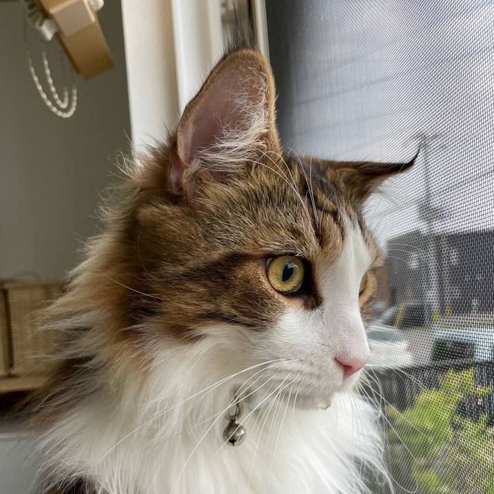 C53e9020 e353 450b 8593 f356adb31ee8 1653254844146