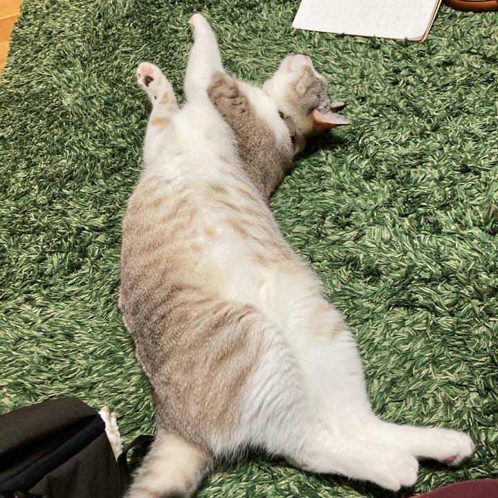 C53ed8b9 105c 4687 a14a 4b9b0301fce2 1596462892624