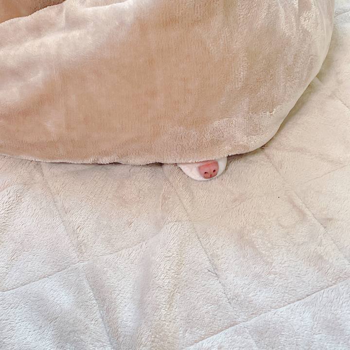 C53ed94e 071e 4fab 99c8 15ce7939e27d 1636946024943