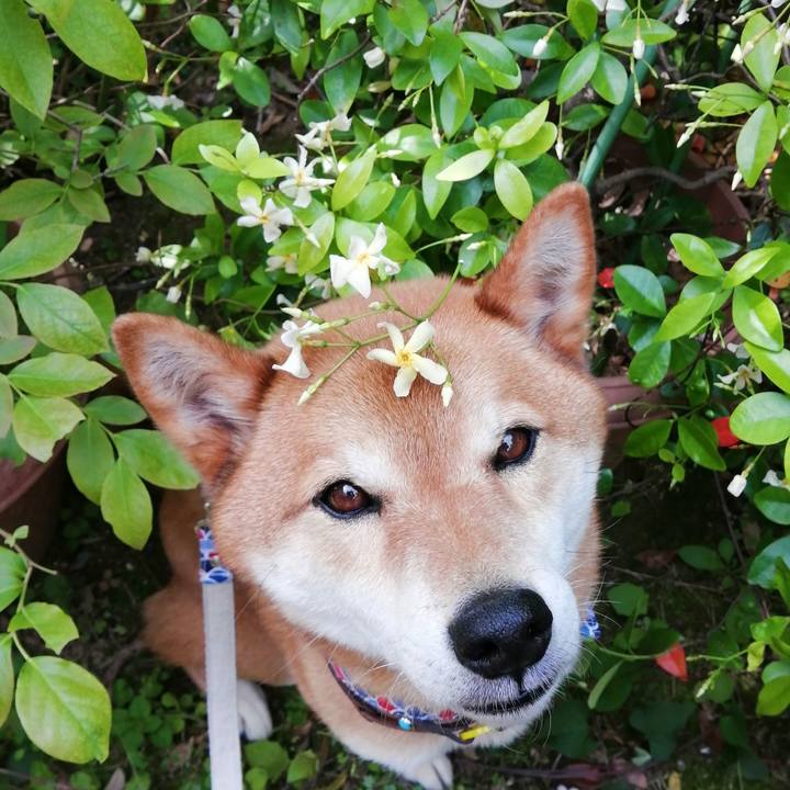 C53f223d ae3d 4f26 9701 acd8d22f6f46 1620782377658