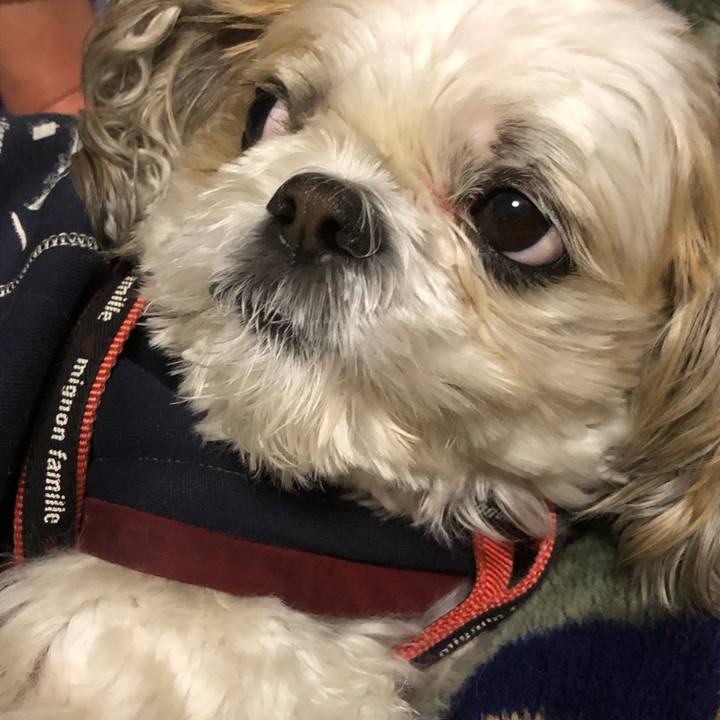 C53f25a9 5c8d 4a2a 905f 21ed77b585d2 1607724207750