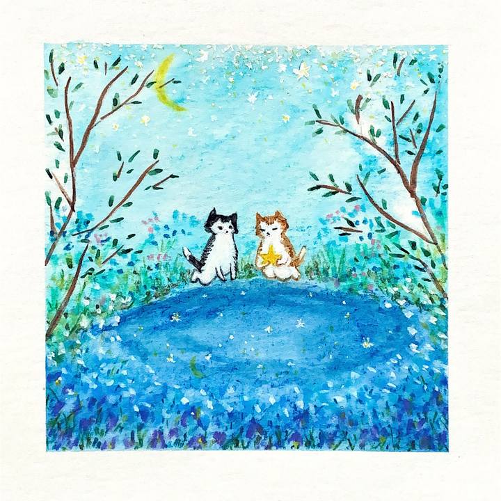 C53f6087 1a64 410f a2e5 da5915a53f3f 1675989931116