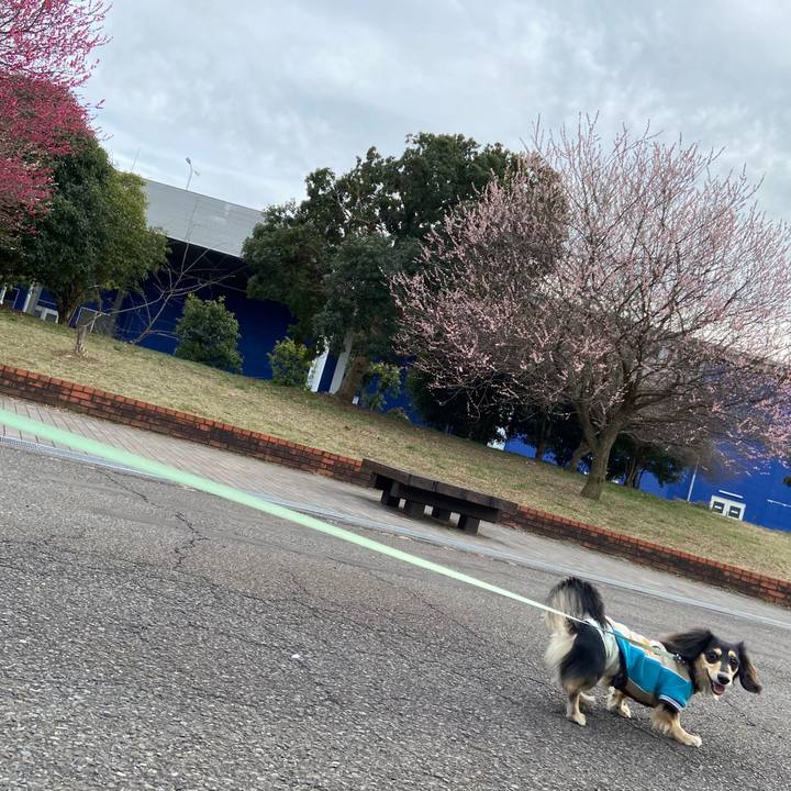 C53f6f57 461e 4c2b a1fa 3857993c5dc6 1710142242200