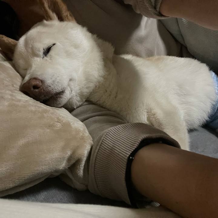 C53f8ef8 b3a2 4e9f 86bc 80c27dab56b7 1641327853775