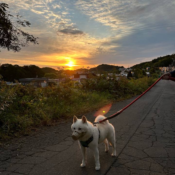 C53fb015 5084 4d4a 9870 634886bc2f08 1758316896416