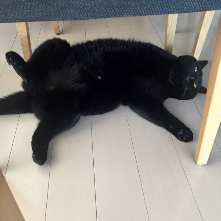 C53ff258 8d63 4f90 bd3b d4e25fe69679 1534974926854