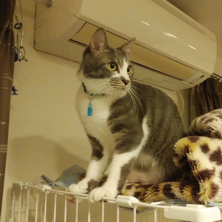 C5400d64 fd89 4c3f 9515 6dc417fd2f4a 1590317381355