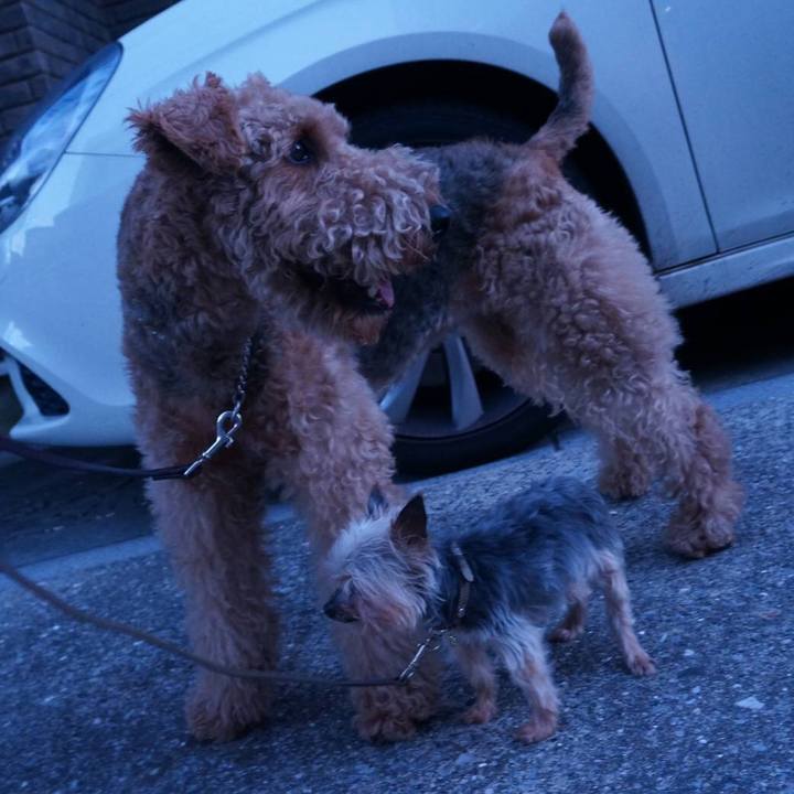 C5402c7e fff1 4235 91bd e867b76ecb9f 1510493821986