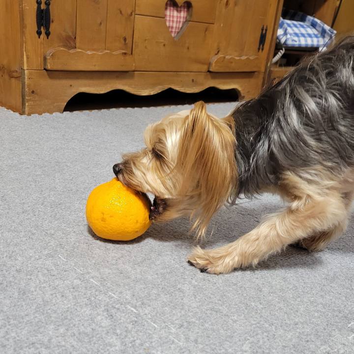 C5403b45 062e 49be aaca 69fd9da65d87 1646995292396