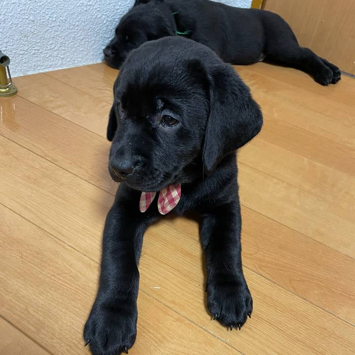 C54060e0 759b 4c57 bae7 223d29130031 1629598606209