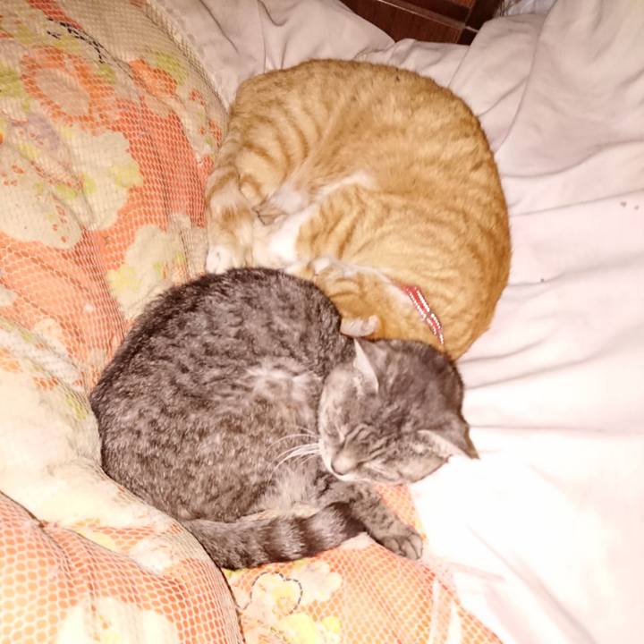 C5407145 6dbf 4cff b06c e2d7cb0fd33a 1574609102196