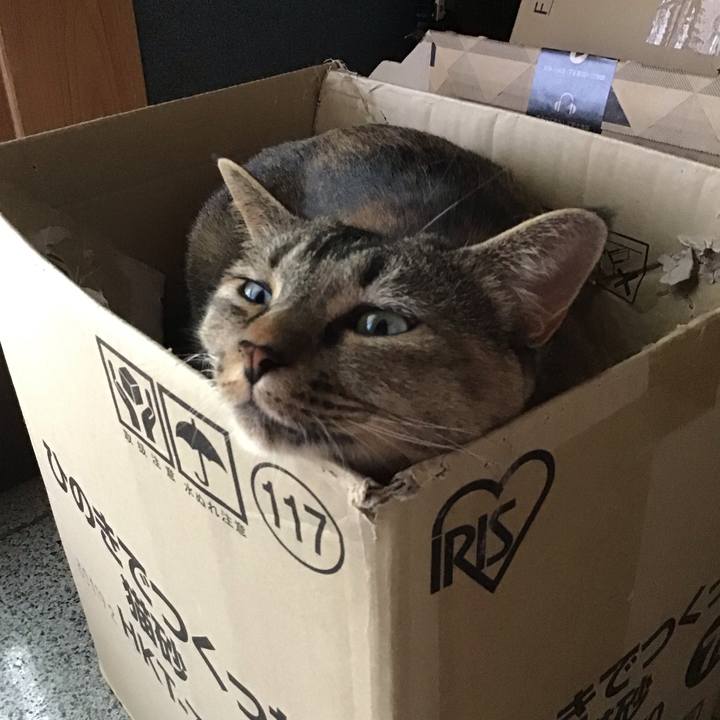 C540cd56 37b2 4244 9483 9b04cad8cdce 1692342402688