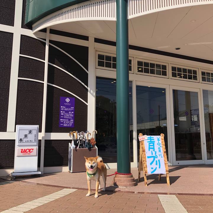 C540d782 5722 4abf 85ed f5e27e88b628 1524386344096