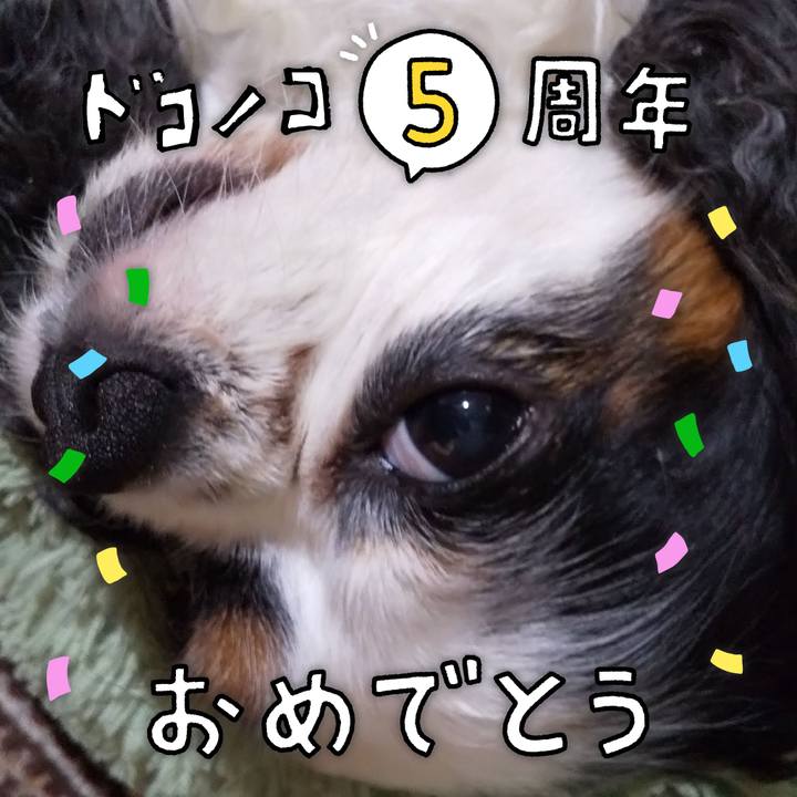 C54129fd b5db 4d15 939c 898226df70a6 1622899151301