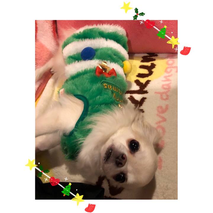 C5412e48 917b 44a3 9591 9d7c3c7cdceb 1513474526307