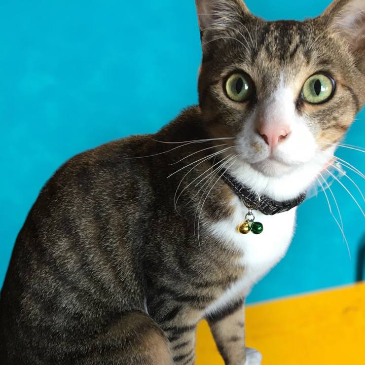 C54153cc ad46 423a 8e45 5946c6d9547f 1681423143467