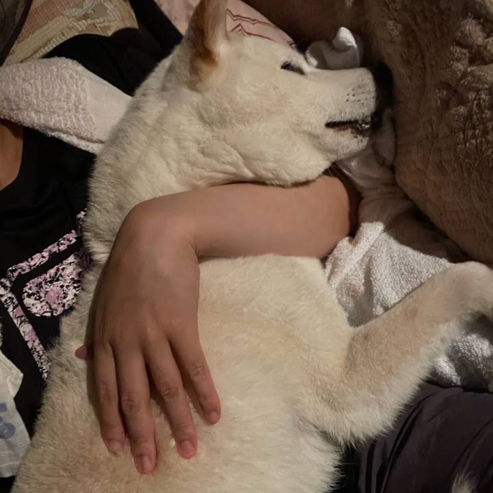 C5418e7c 47aa 45bb b24e 805179027155 1654783660217