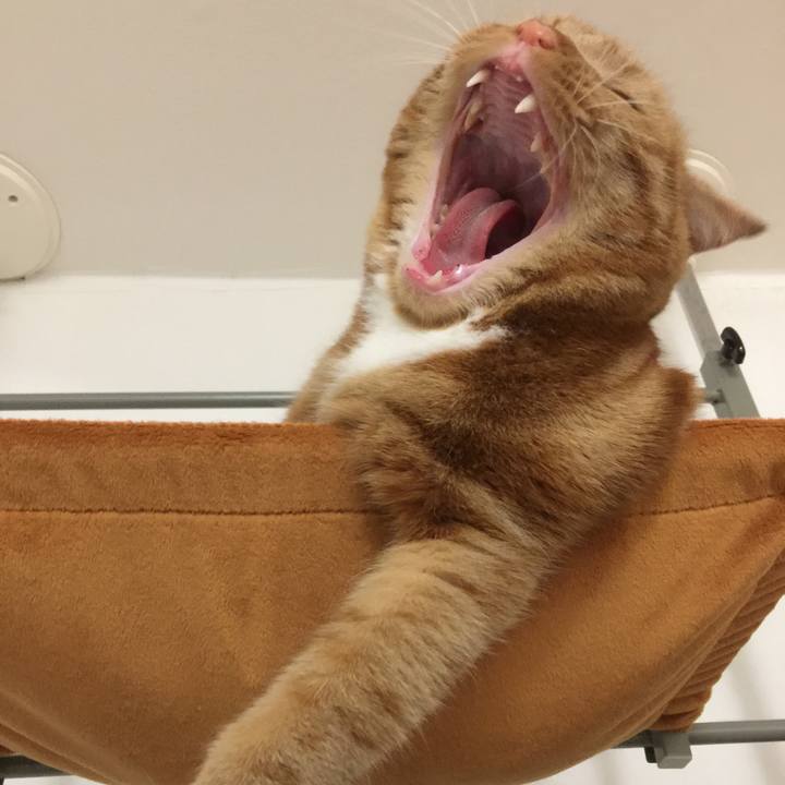 C541b71f ef34 4d89 a996 7bd083ad31d2 1521034010497