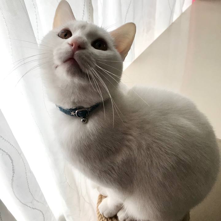 C541c803 499c 4647 9af0 da702a6ad6bd 1581289668800