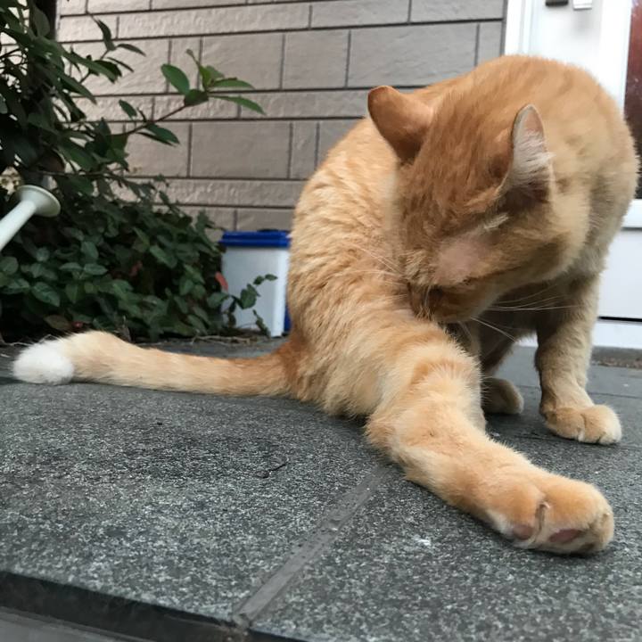 C541d09f fe08 47fb 82e3 fbefc368b303 1509098879960