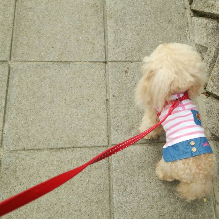 C541d4e5 6bb9 4e1b 96fb 9ffa7c643824 1558171312520