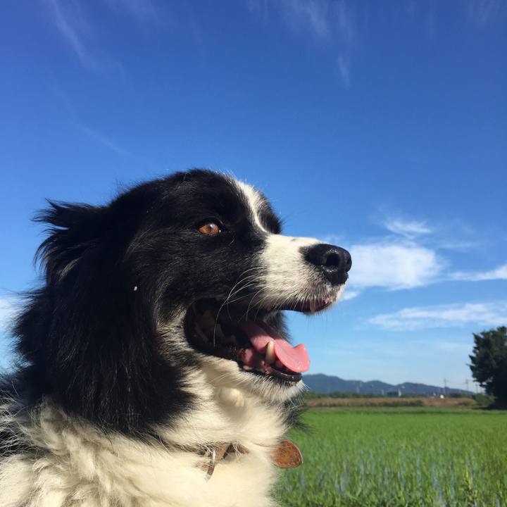 C541de8d fa7b 4263 b75b e8fa61aca3cf 1531175823852