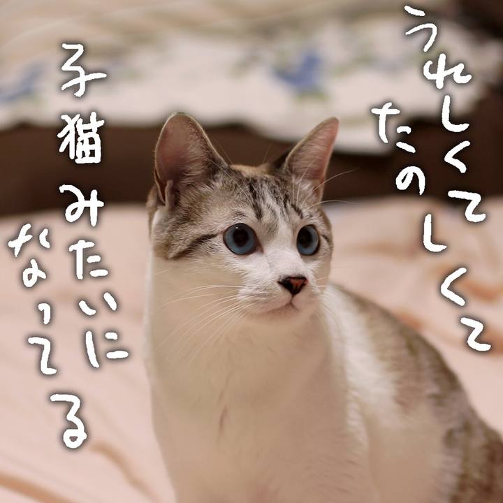 C541e975 adfb 442d a4b8 1623f1ab12fa 1641601592348