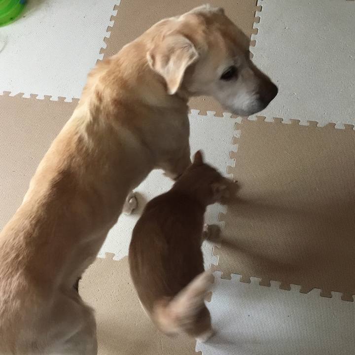 C541f077 75f7 4867 a612 45b0e2452649 1521501510322