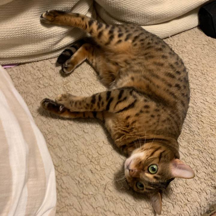 C5420e31 4b3f 4fa8 9c36 8fa73adaf5fb 1600392647494