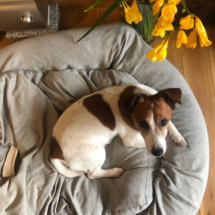 C5421b6e 0cbc 4395 a52a 266945532622 1604904047944