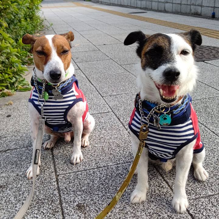 C542203b d4ef 4574 8c87 ec7190c01a63 1627249855840