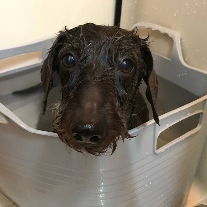 C54228dd c1e0 48ae 880c c65017286a28 1526219508003