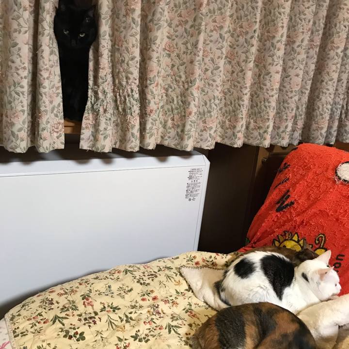 C54257ee 286c 4d84 a140 11d8cc9fd97b 1643618542197