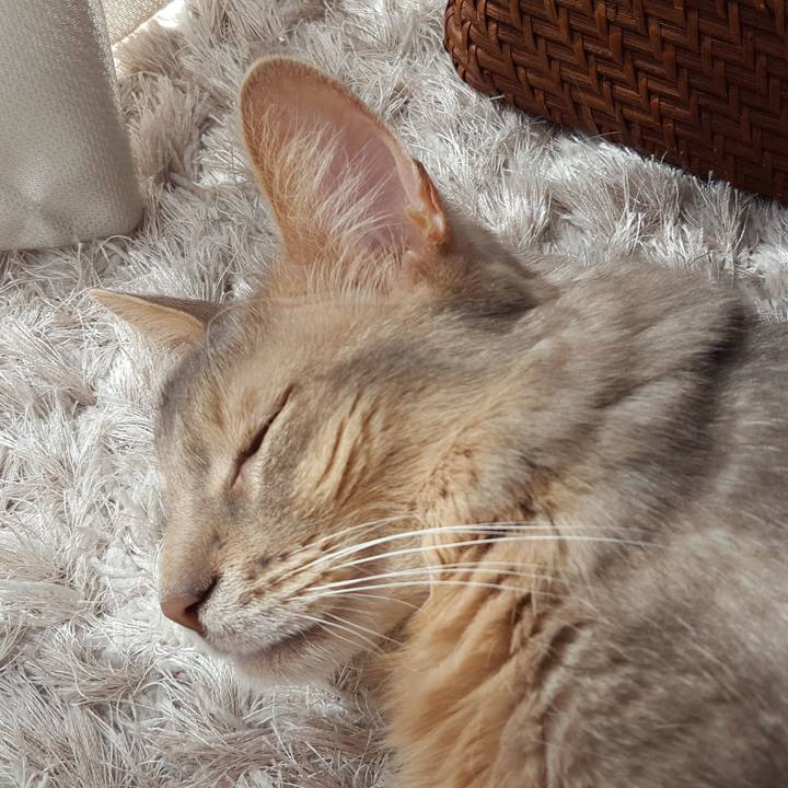 C5428118 75b3 495d 97d6 6feb27a64abc 1583032173413