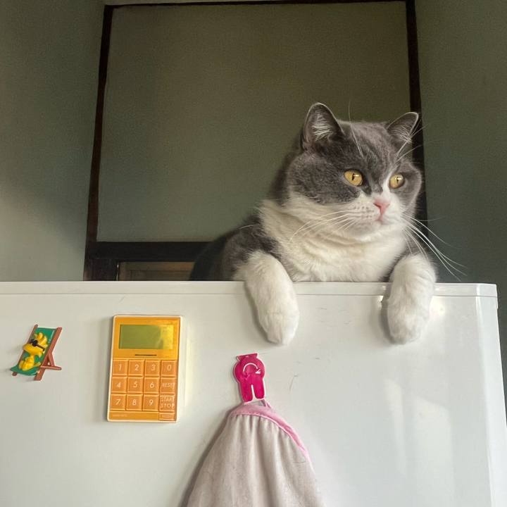 C5430c2f f481 4aca a21e f504477ed52f 1633734949758