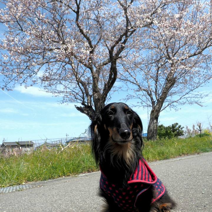 C5434a52 3977 43a9 abc7 aa3489923e38 1554433968941